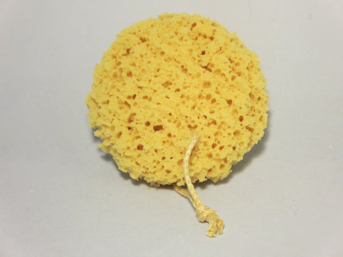 Foam Sea Sponge/Éponge de mer en mosse